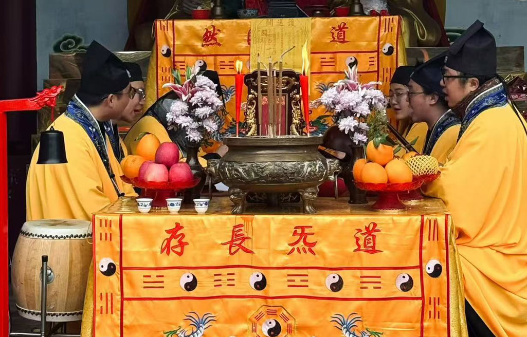专业团队